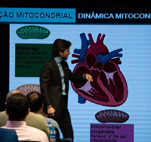 Galeria-img-5164245-4